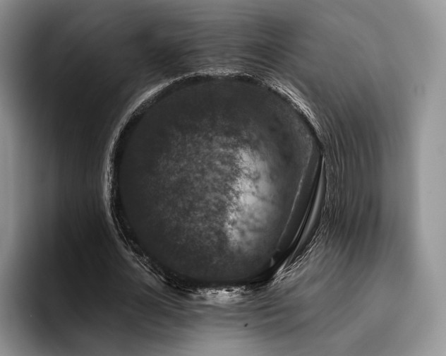 X0000096130724200801181112