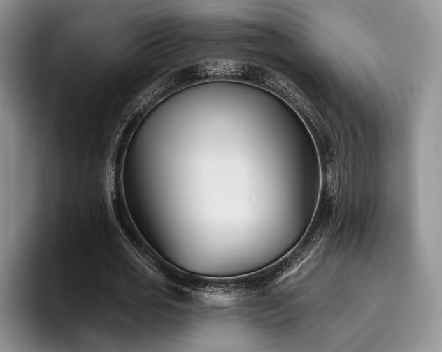 X0000096130725200801181112