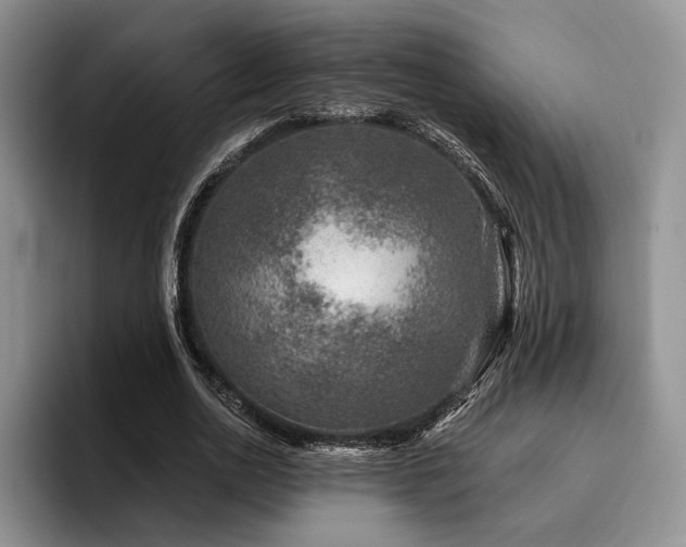 X0000096130726200801181112