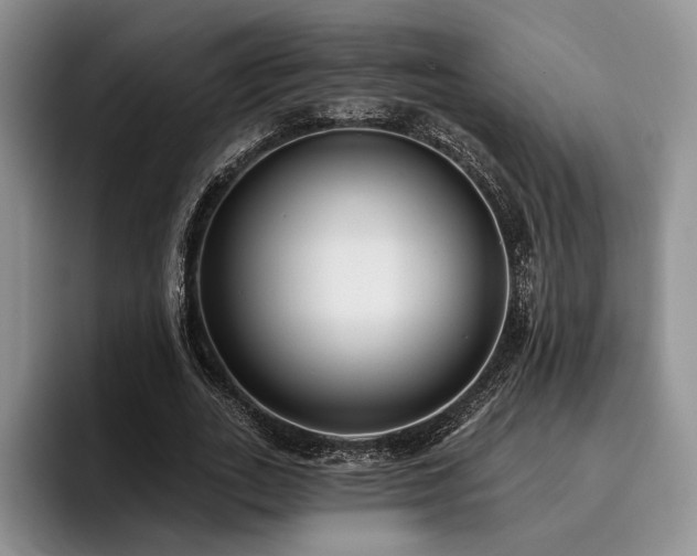 X0000096130727200801181112