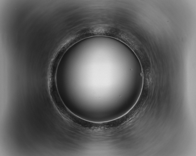 X0000096130728200801181112
