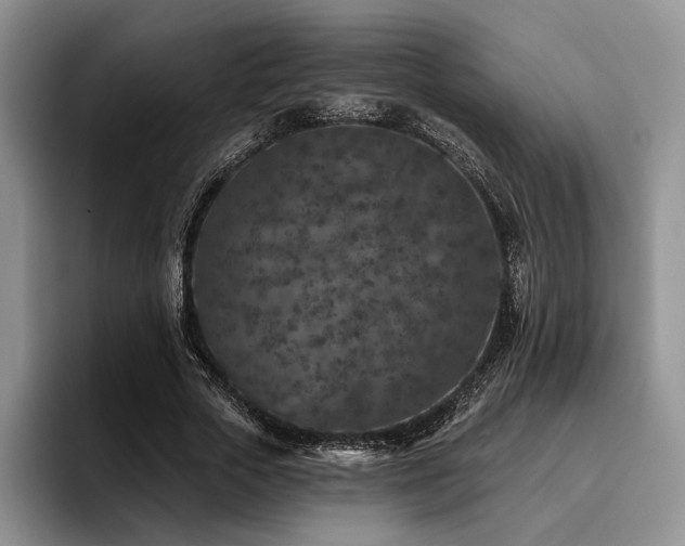 X0000096130729200801181112