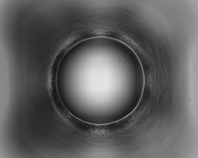 X0000096130730200801181112