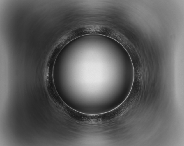 X0000096130731200801181112