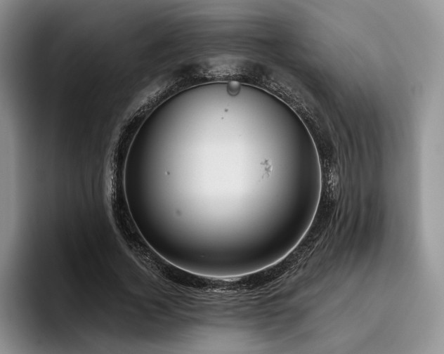 X0000096130732200801181112