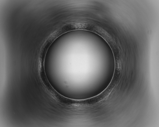 X0000096130733200801181112