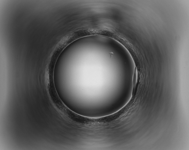 X0000096130734200801181112