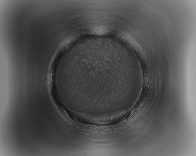 X0000096130736200801181112