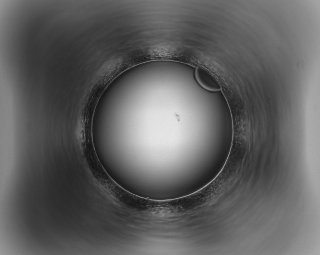 X0000096130738200801181112