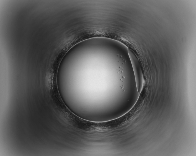 X0000096130739200801181112