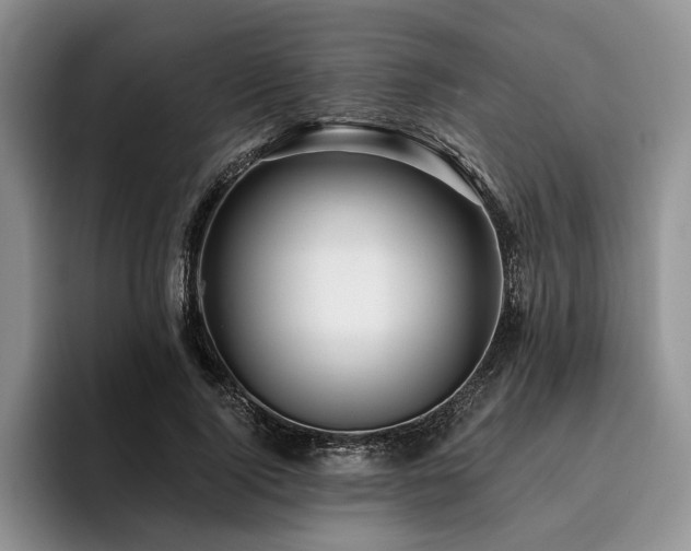 X0000096130740200801181112