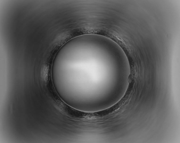 X0000096130742200801181112