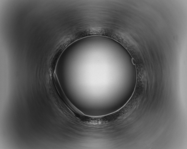 X0000096130744200801181112