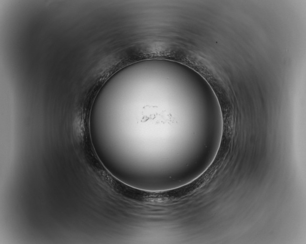 X0000096130746200801181112