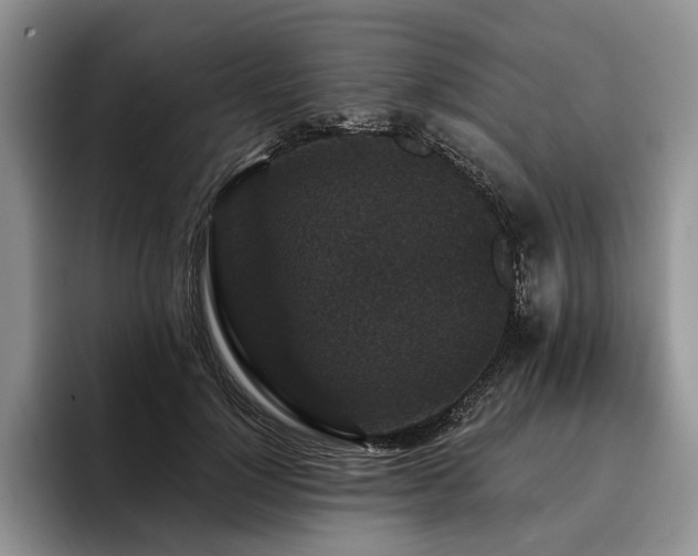 X0000096130748200801181112