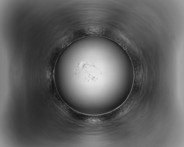 X0000096130749200801181112