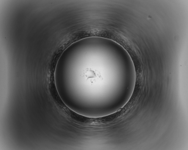 X0000096130750200801181112
