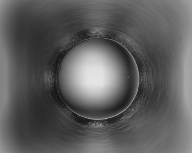 X0000096130751200801181112