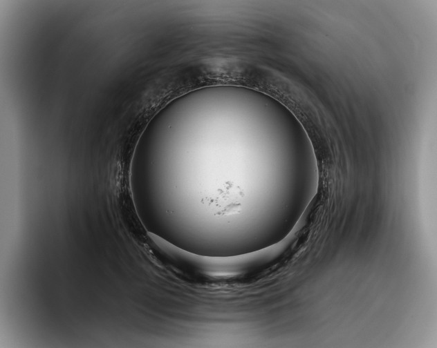 X0000096130752200801181112