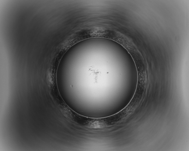 X0000096130755200801181112