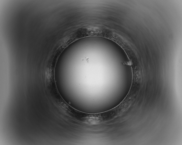 X0000096130756200801181112