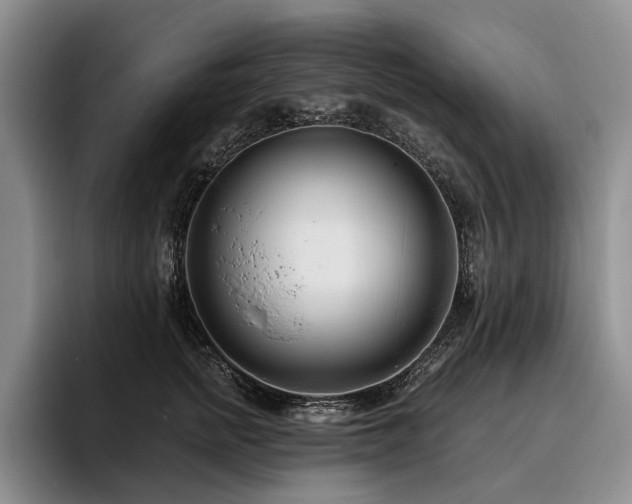 X0000096130758200801181112