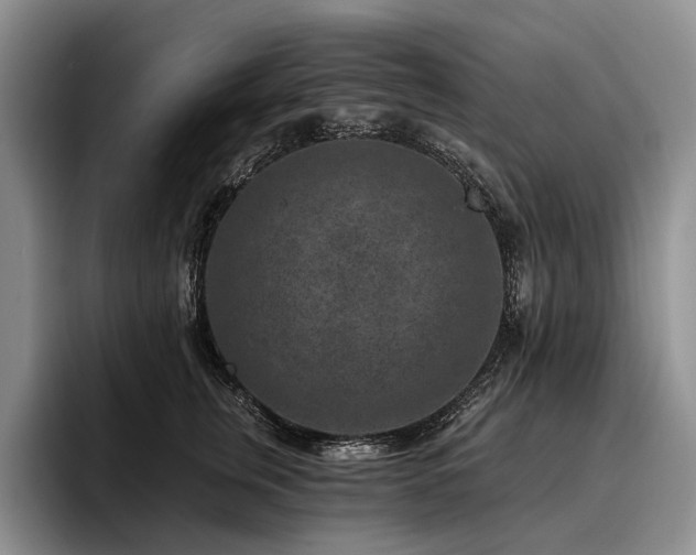X0000096130759200801181112