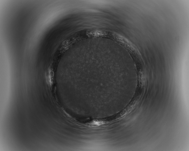 X0000096130760200801181112