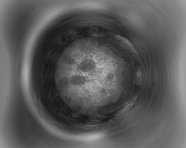 X0000096130765200801181112