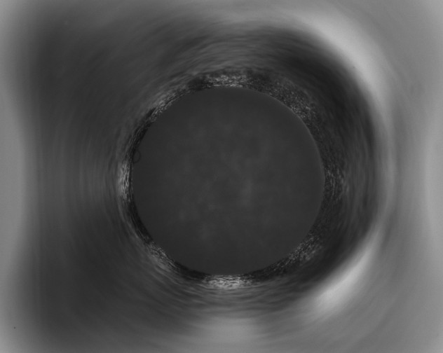 X0000096130767200801181112