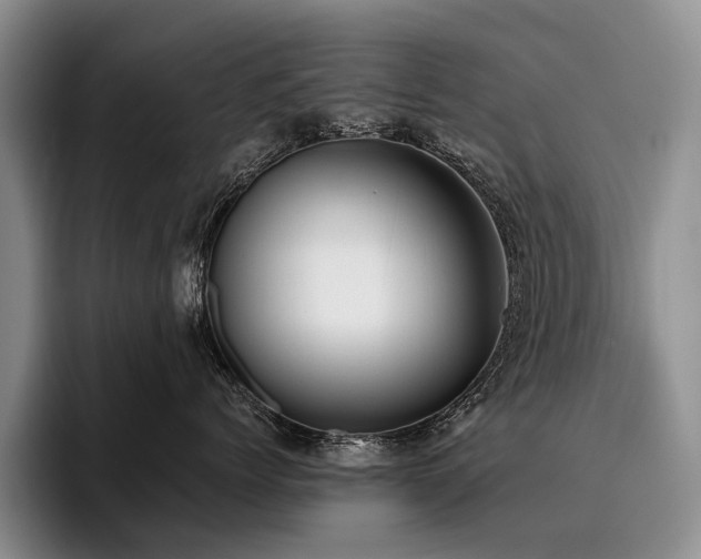 X0000096130768200801181112