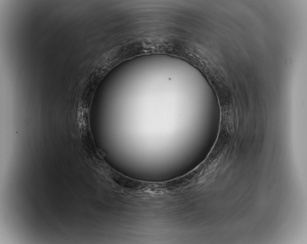 X0000096130770200801181112