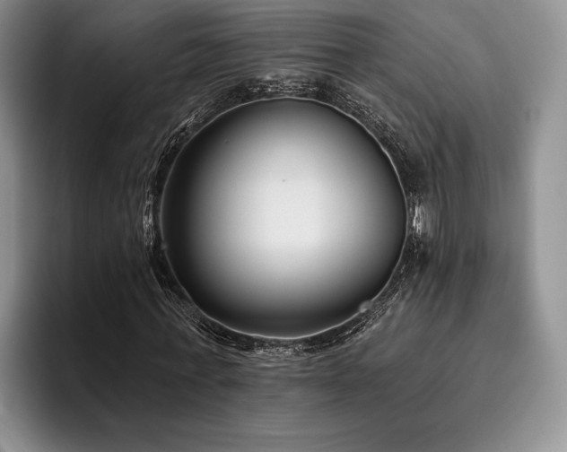 X0000096130771200801181112