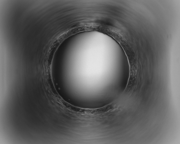 X0000096130773200801181112