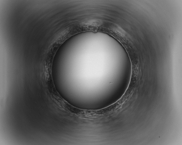 X0000096130774200801181112