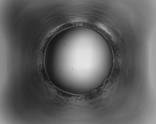X0000096130775200801181112
