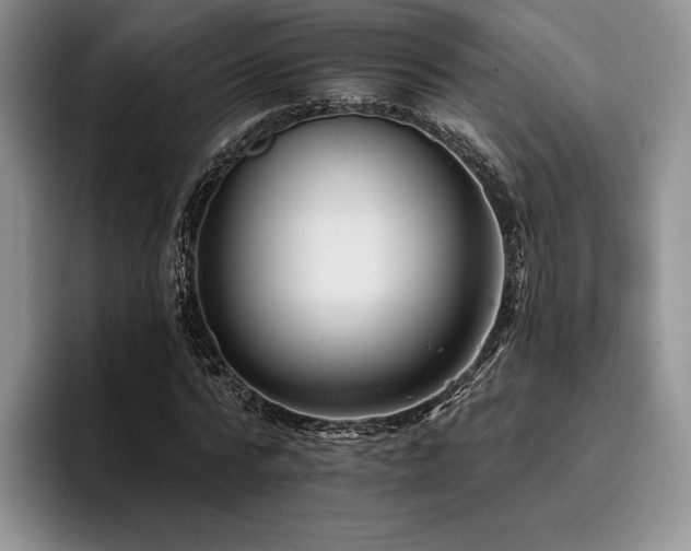 X0000096130776200801181112
