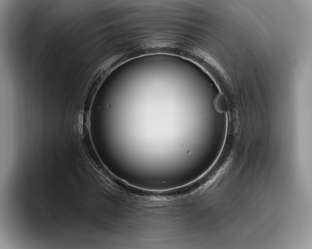 X0000096130777200801181112