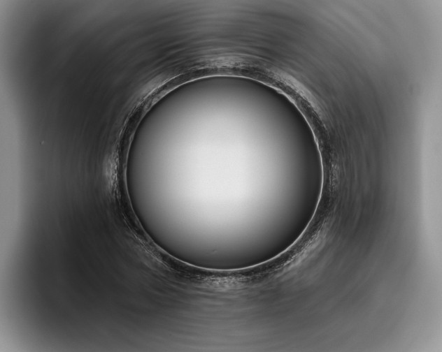 X0000096130778200801181112