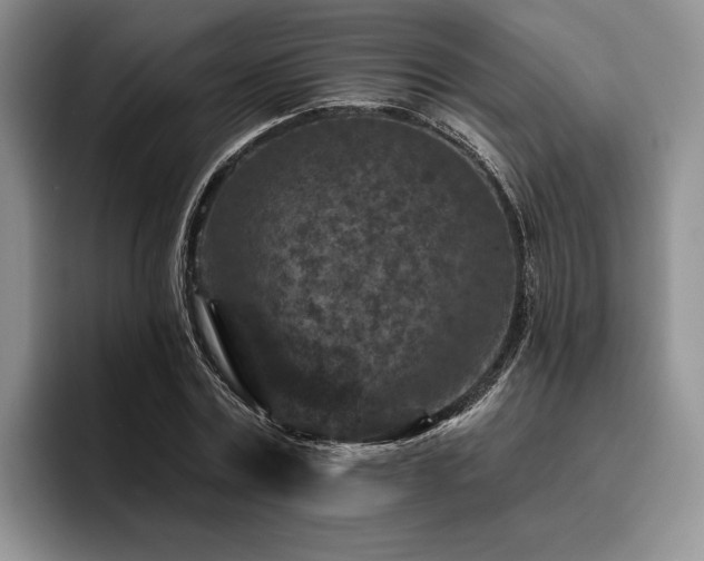 X0000096130779200801181112