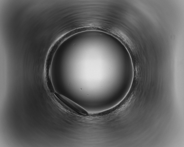 X0000096130780200801181112