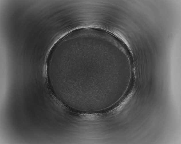 X0000096130781200801181112