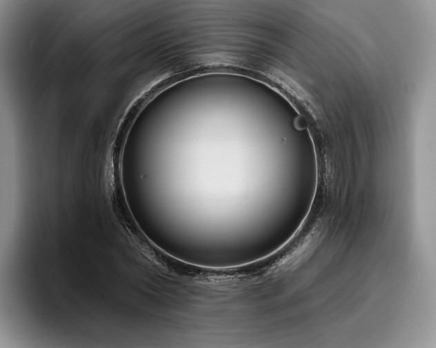 X0000096130782200801181112