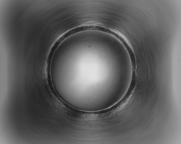X0000096130783200801181112
