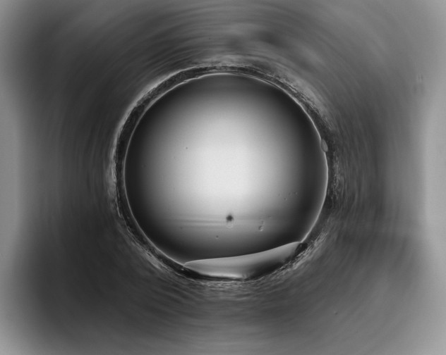 X0000096130784200801181112