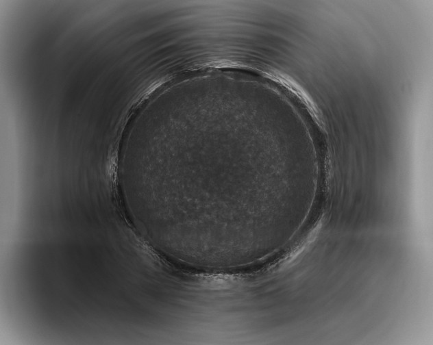 X0000096130785200801181112