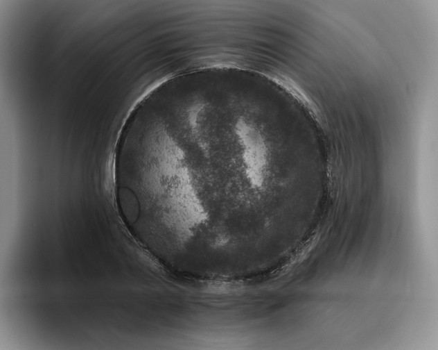 X0000096130790200801181112