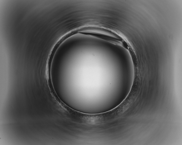 X0000096130791200801181112