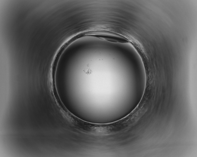 X0000096130792200801181112
