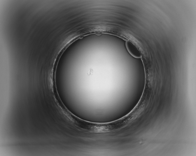 X0000096130794200801181112